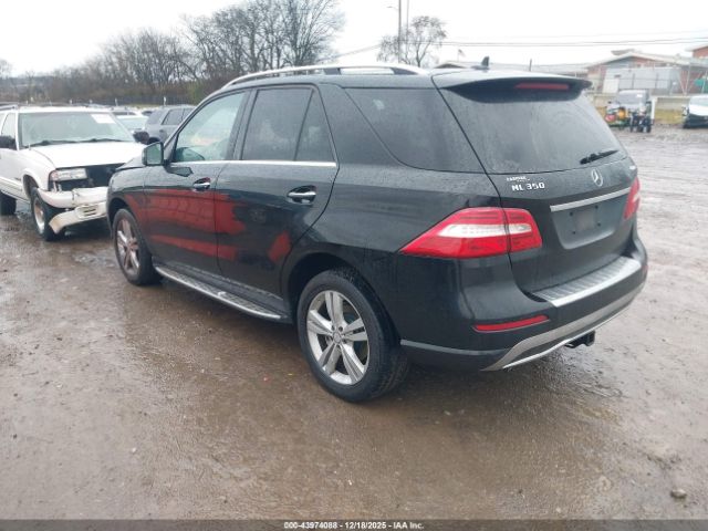 Mercedes-Benz M-Class 4matic Image 3