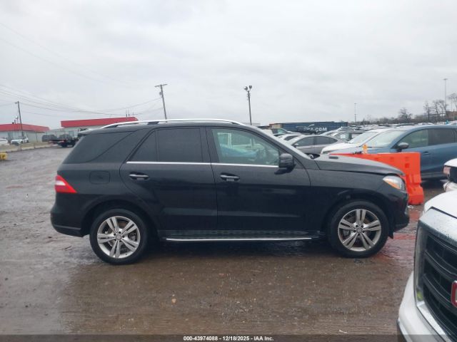 Mercedes-Benz M-Class 4matic Image 9