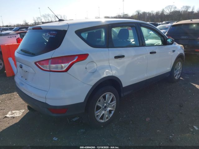 Ford Escape S Image 4