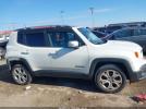 Jeep Renegade Limited Image 2