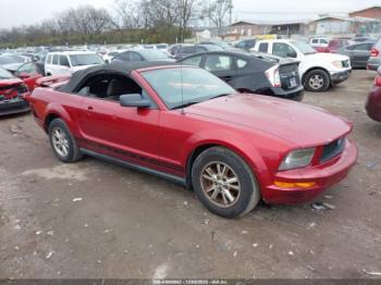  Salvage Ford Mustang