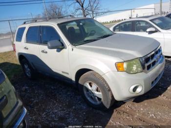  Salvage Ford Escape