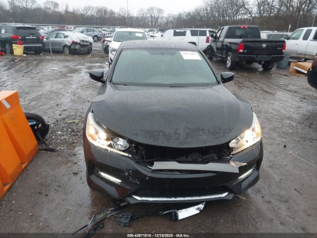 Honda Accord Sport Image 8