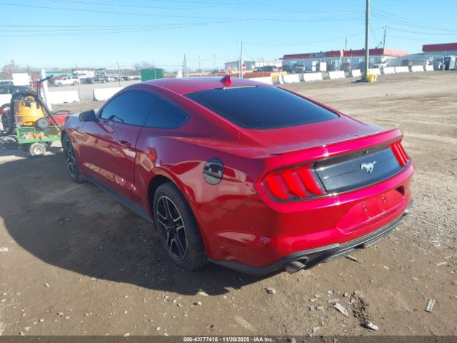 Ford Mustang Ecoboost Premium Fastback Image 3