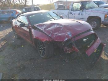  Salvage Ford Mustang