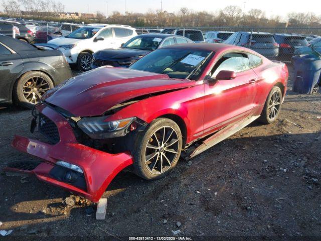 Ford Mustang Ecoboost Image 2