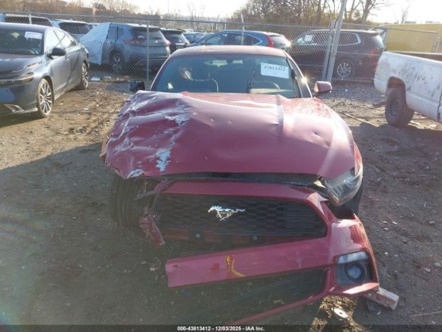 Ford Mustang Ecoboost Image 17