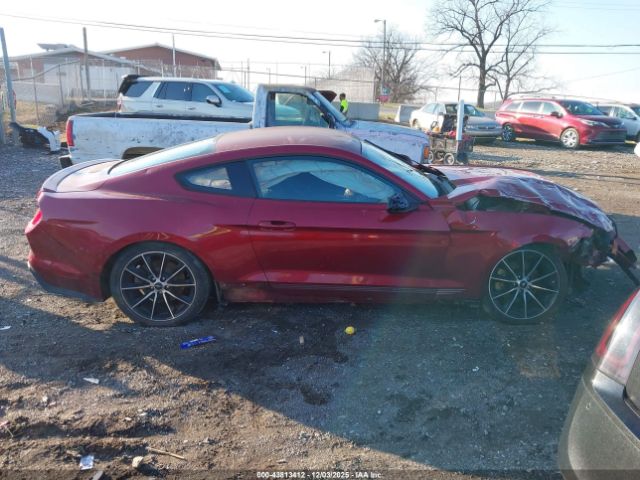 Ford Mustang Ecoboost Image 10