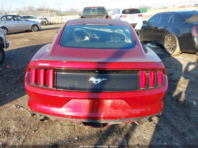 Ford Mustang Ecoboost Image 16