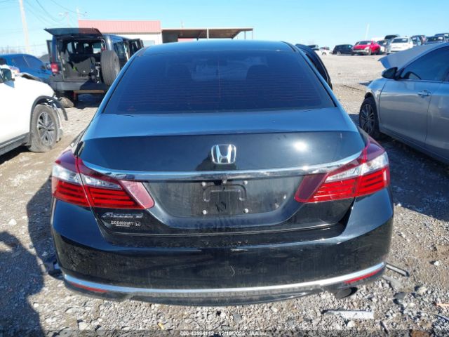 Honda Accord Lx Image 12