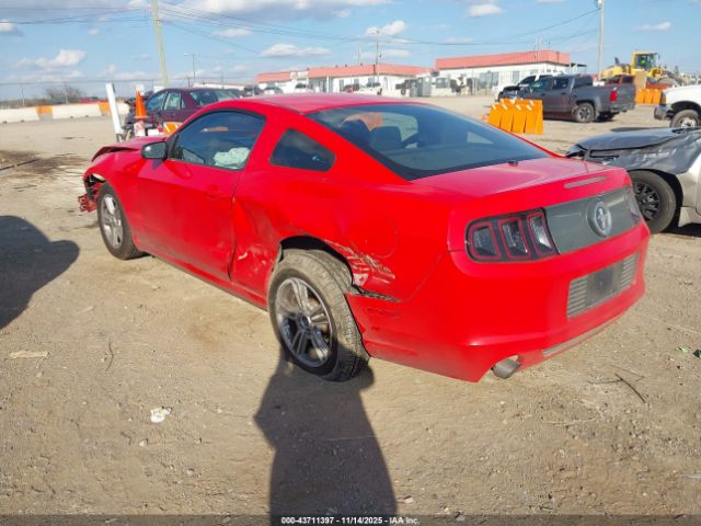 Ford Mustang V6 Image 6