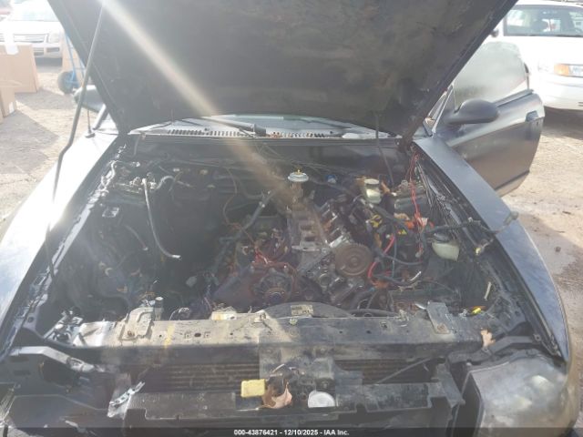 Ford Mustang Gt Image 8