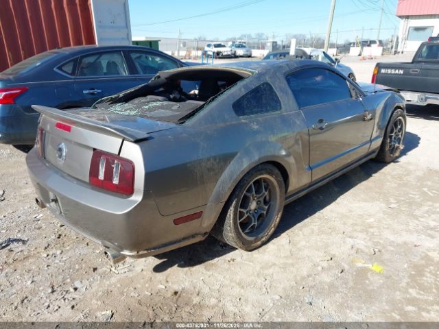 Ford Mustang Image 12