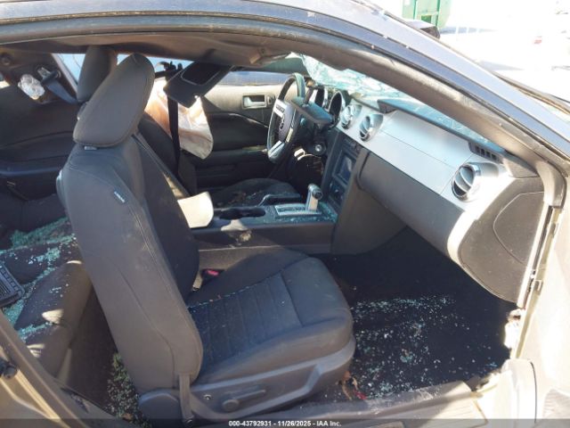 Ford Mustang Image 6