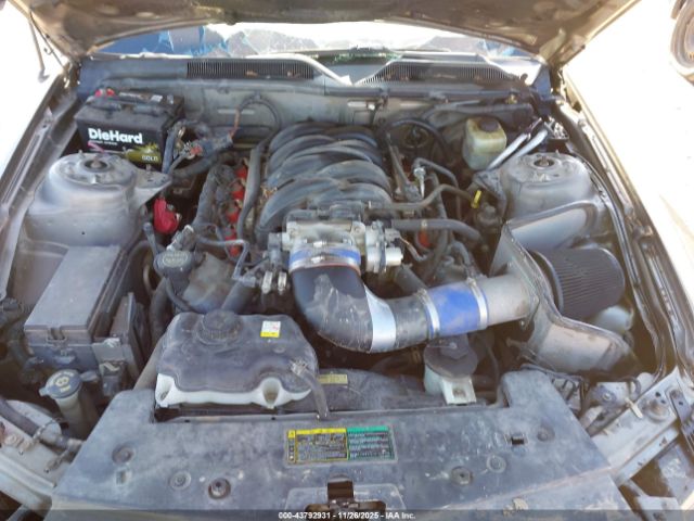 Ford Mustang Image 5