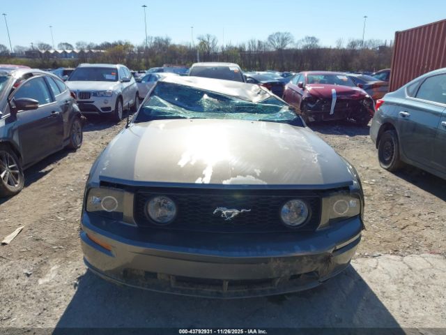 Ford Mustang Image 10