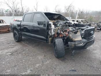  Salvage Ford F-150
