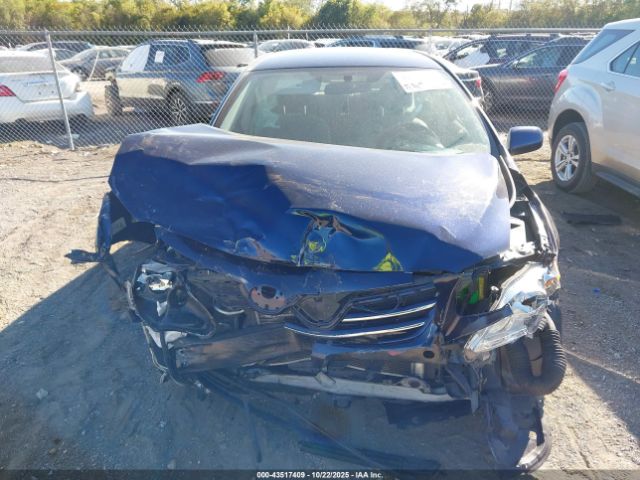 Toyota Corolla Le Image 10