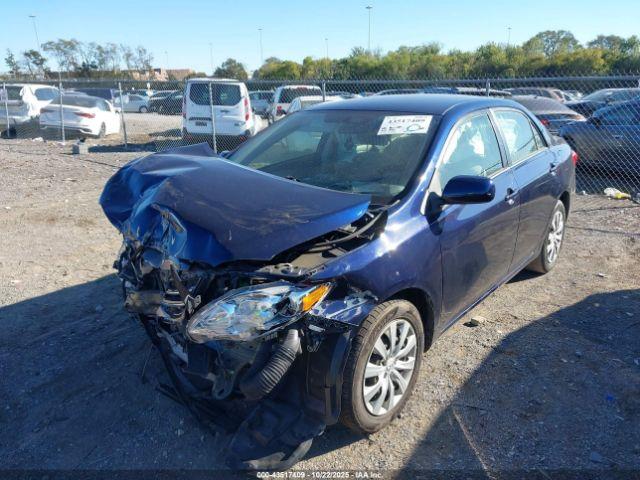 Toyota Corolla Le Image 12