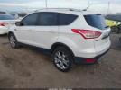 Ford Escape Titanium Image 4