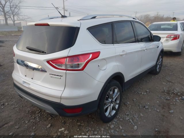 Ford Escape Titanium Image 8