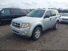 Ford Escape Xlt Image 4